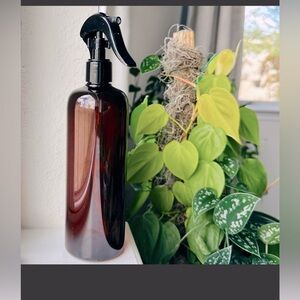 Plant Mister with Vintage Appeal is unique and great for misting houseplants.